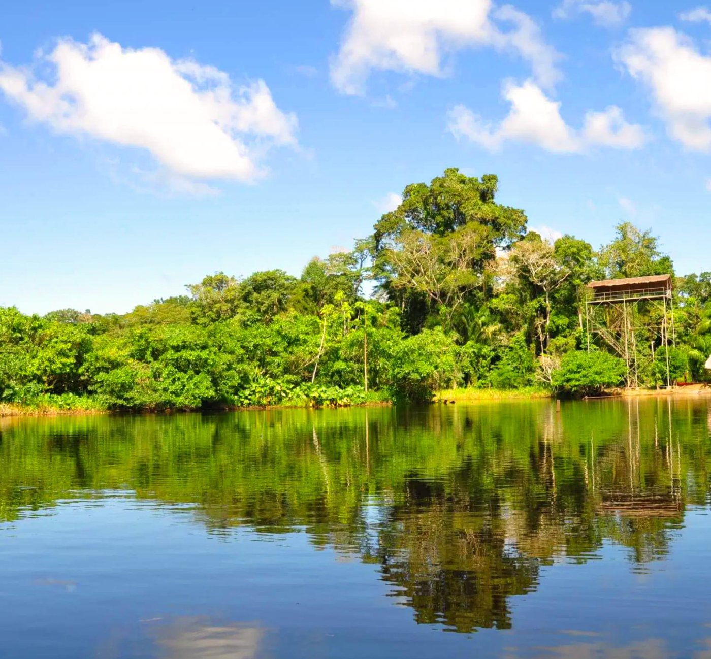 Río amazónico en Madre de Dios
